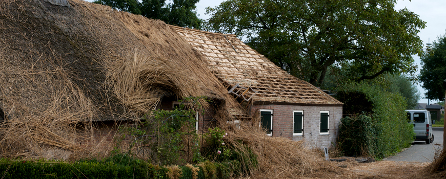 Rietdekker & Timmerman A.J. Vink vervangt oude daken door nieuwe rieten kappen